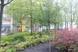 IMG_6027-1